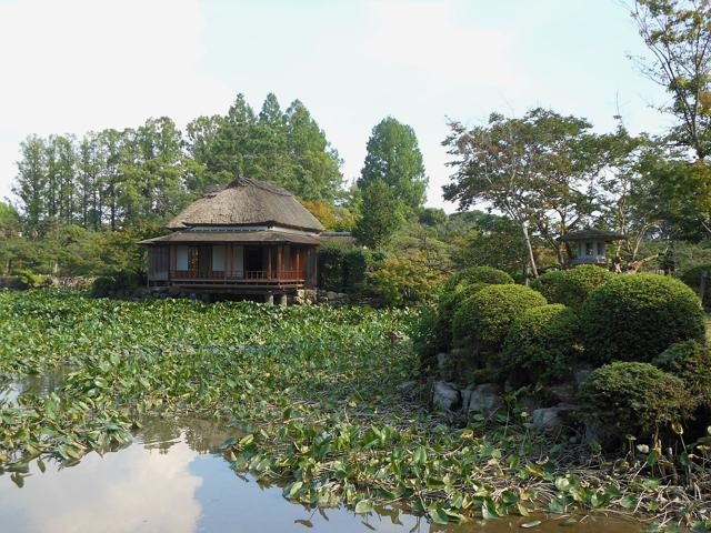 Kōno Park
